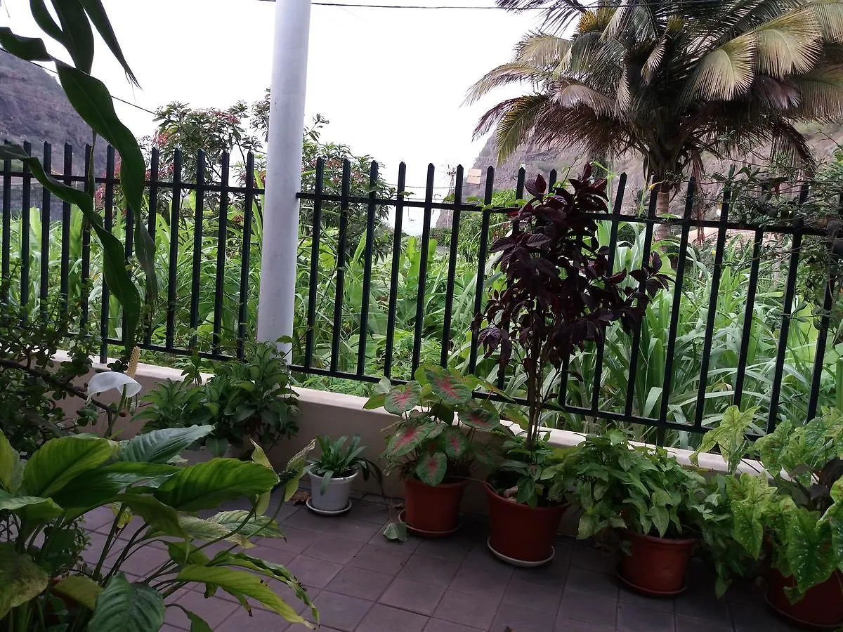 Ribeira Grande Country House Cha de Arroz