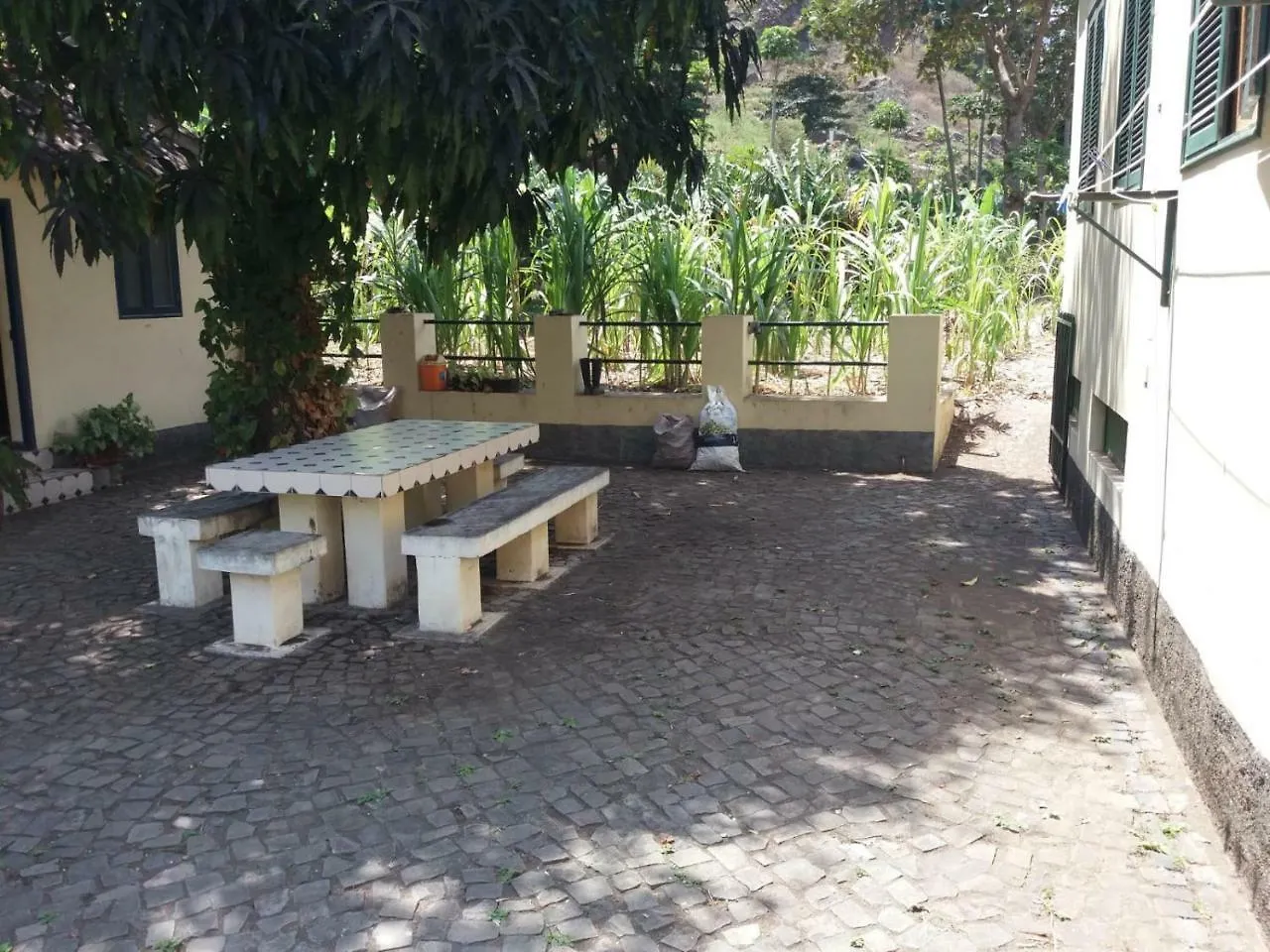 Ribeira Grande Country House Cha de Arroz