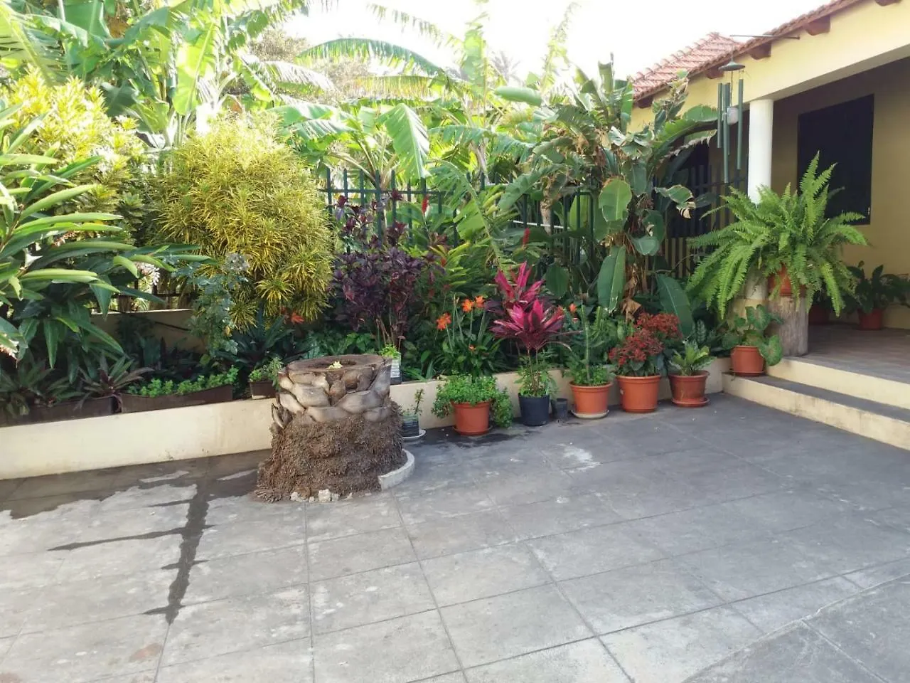 Ribeira Grande Country House Cha de Arroz