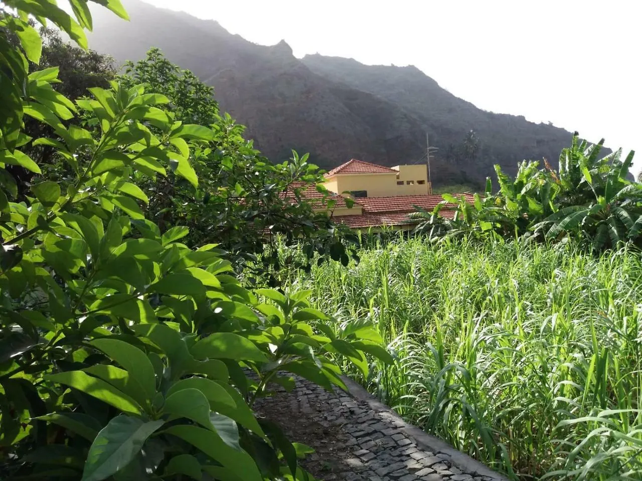 Ribeira Grande Country House Cha de Arroz Cape Verde