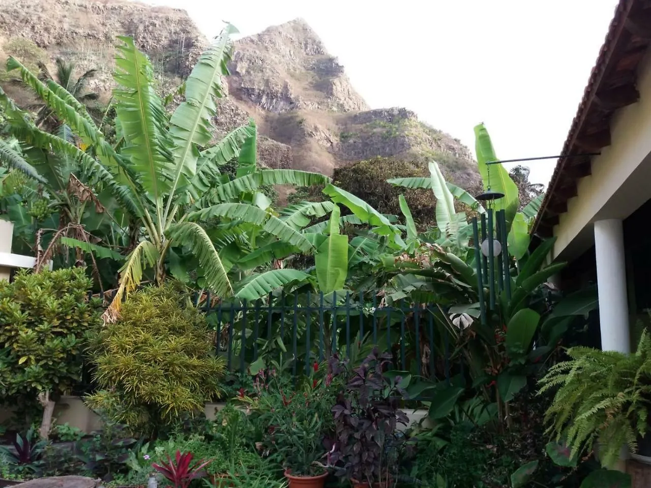 Ribeira Grande Country House Cha de Arroz
