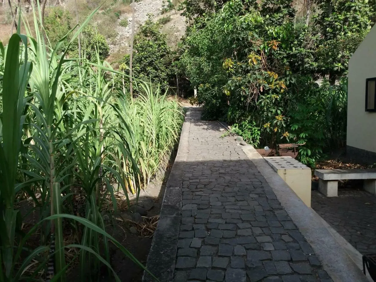 Ribeira Grande Country House Cha de Arroz 0*,