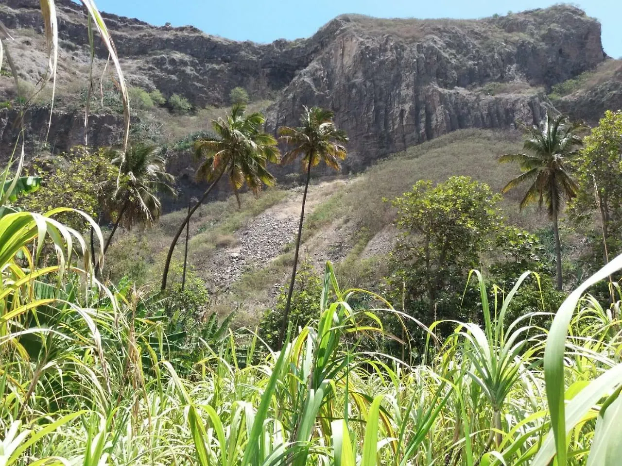 Ribeira Grande Country House Cha de Arroz
