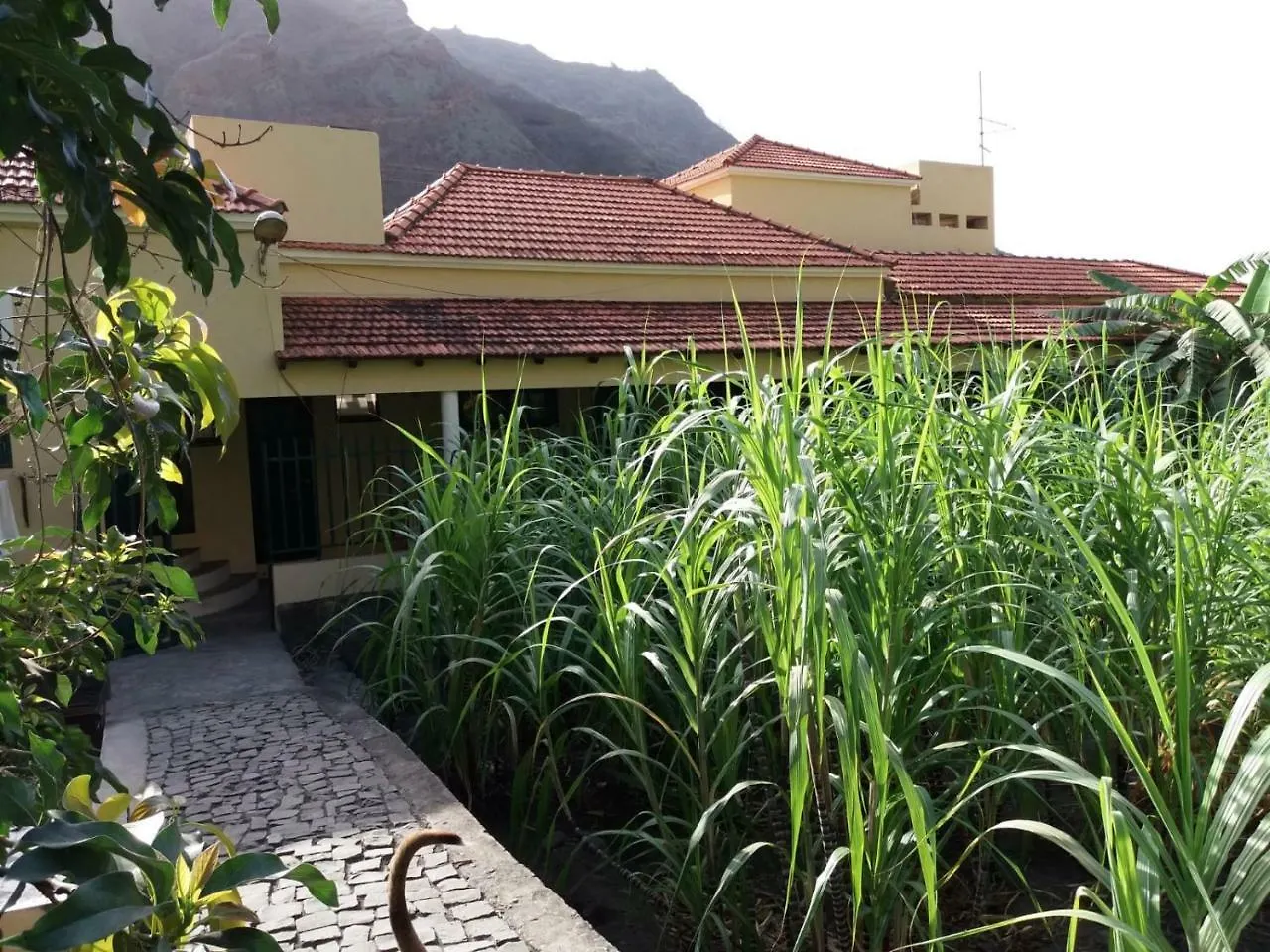 Ribeira Grande Country House Cha de Arroz